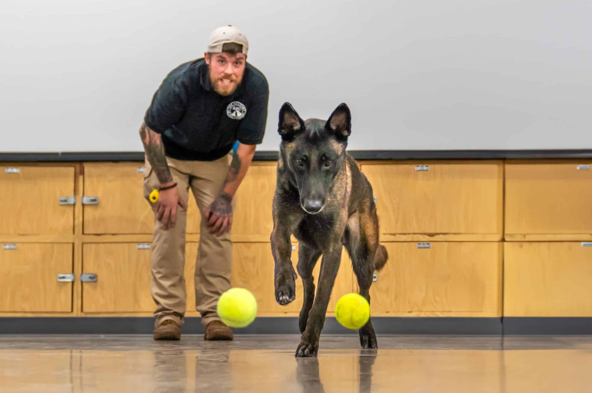 Dog Training Testimonials That Prove Real Results
