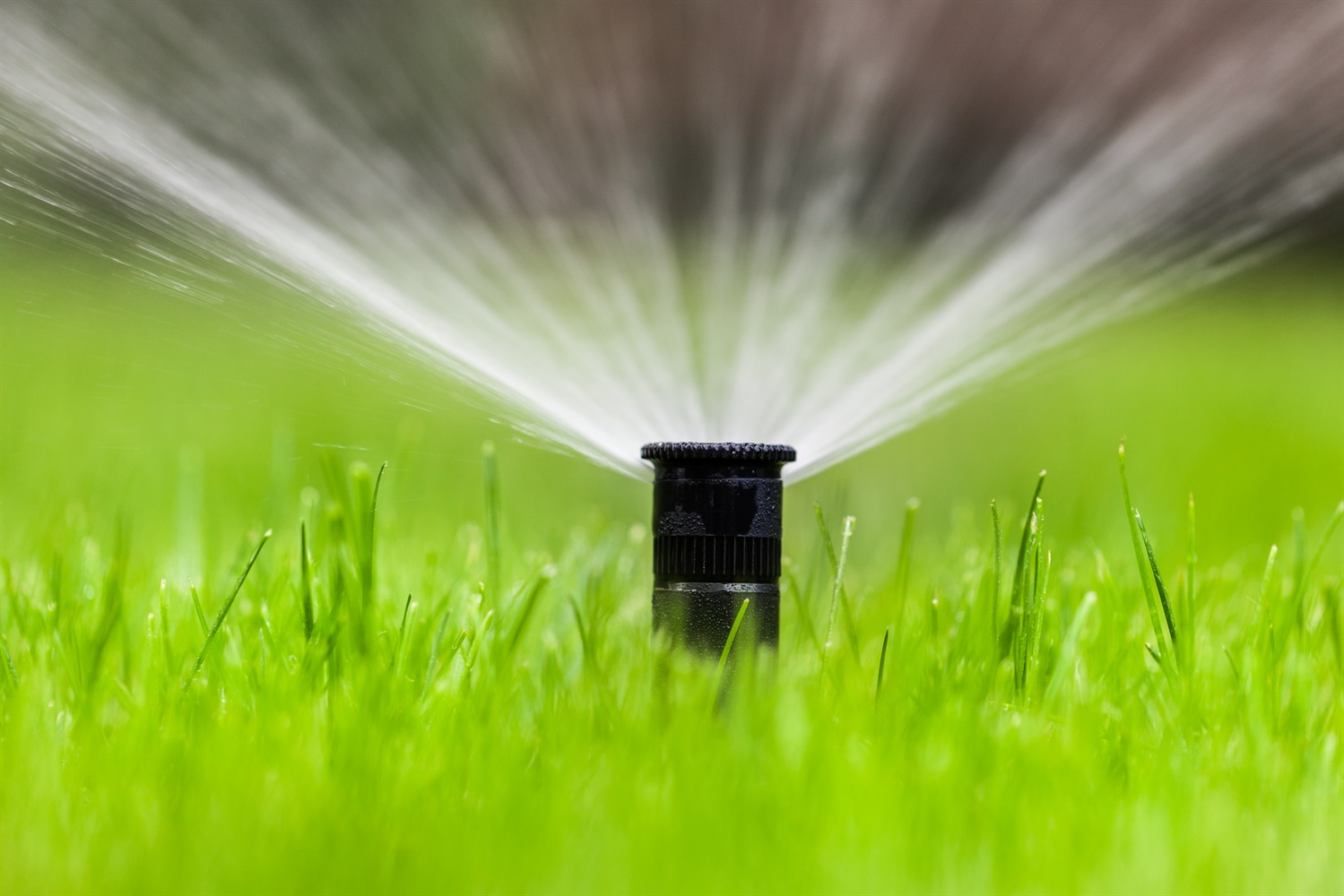 Professional Irrigation Services in Willow Park, TX by Experienced Teams