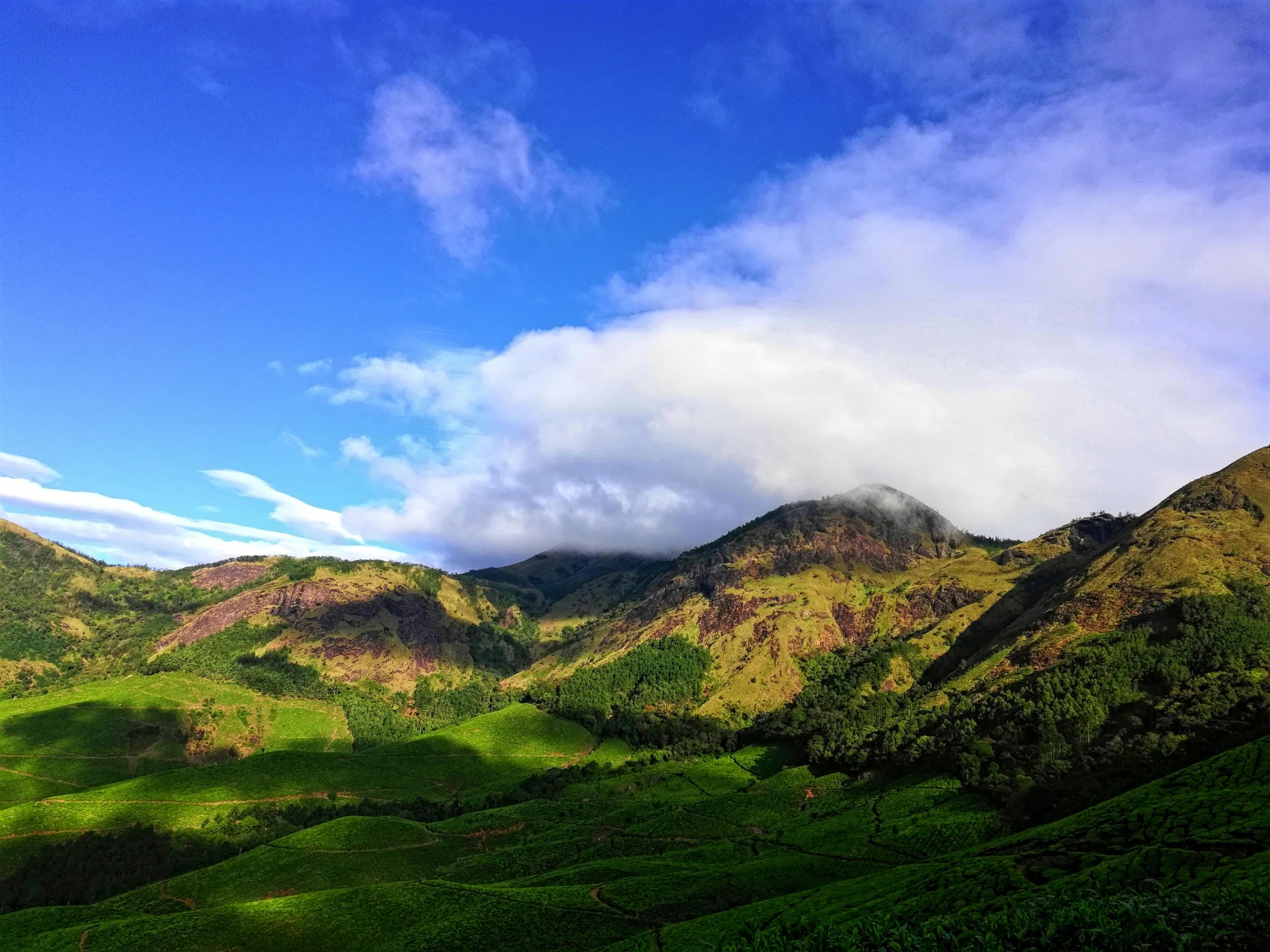Cool Hiking Trails Ideal for Guided Nature Tours