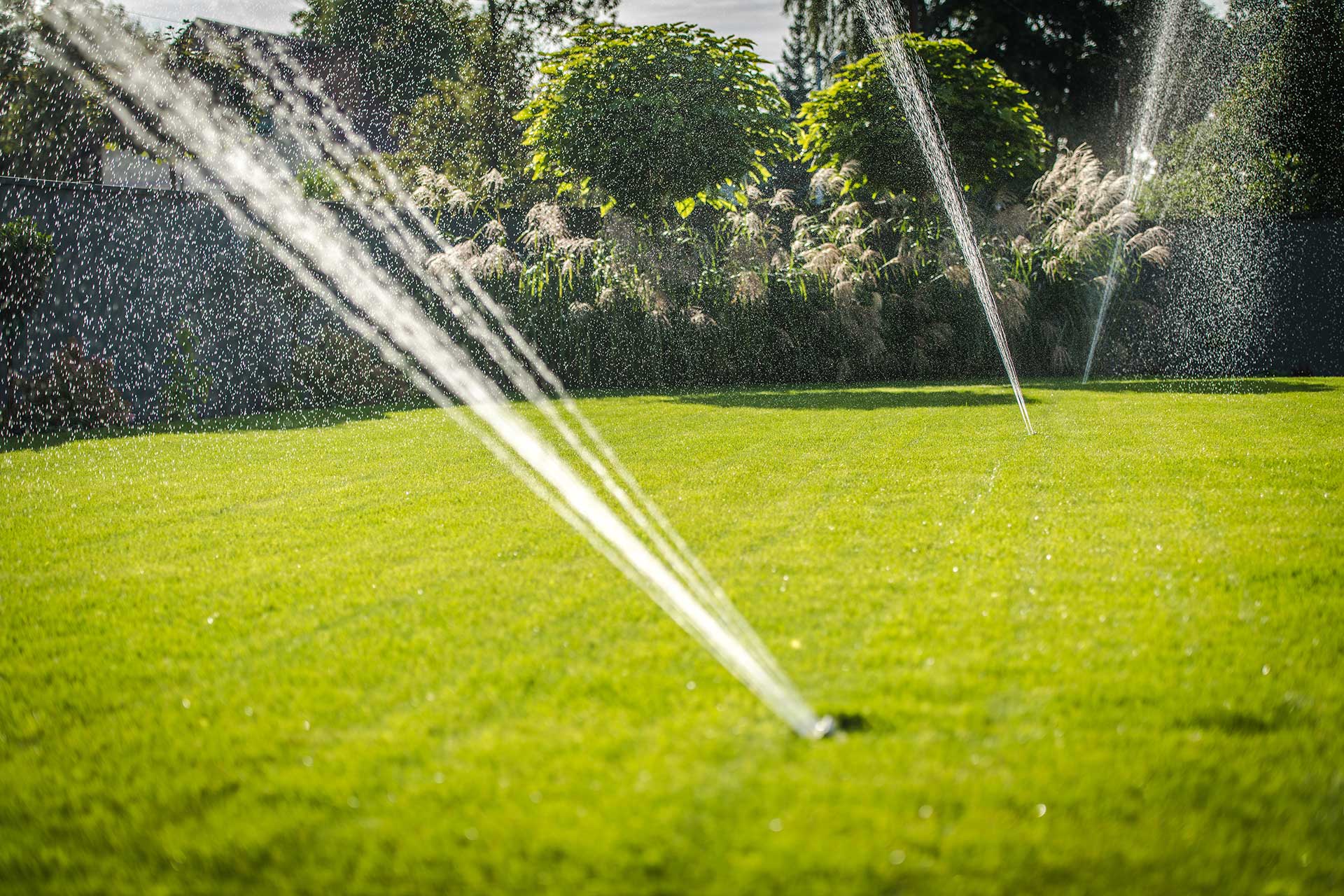 HOW PROFESSIONAL IRRIGATION SERVICES IN ARLINGTON, TX CAN SAVE WATER &amp; MONEY
