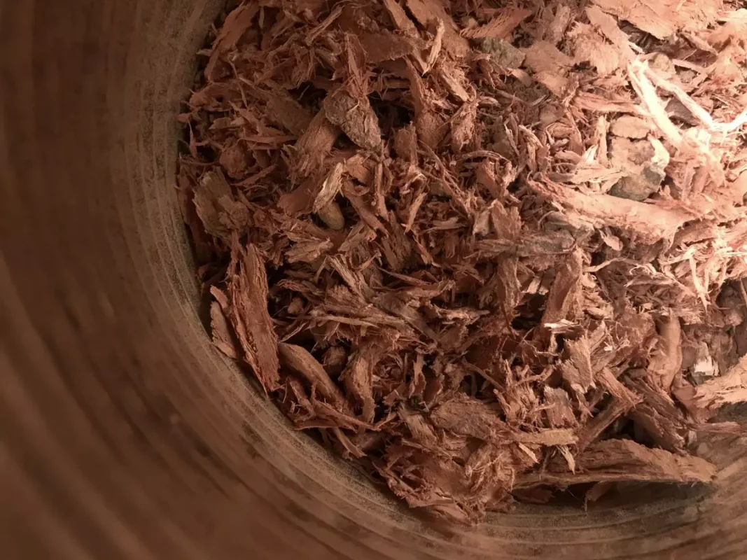 Dyeing with Alkanet Root Powder – A Guide for Beginners