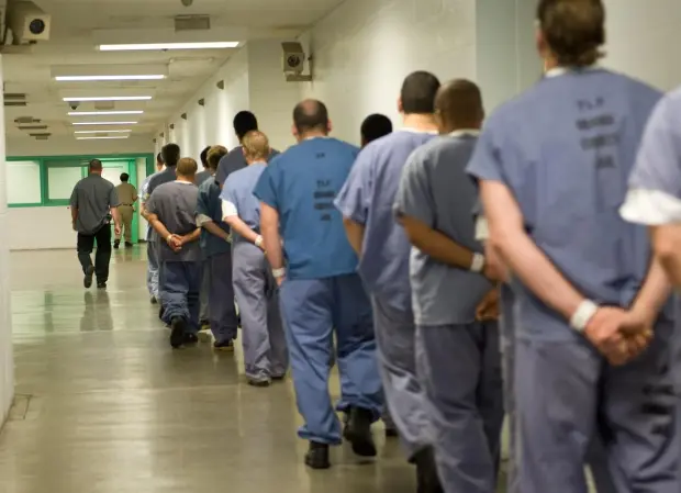 Orange County Inmate Search: Your Complete Guide to Central Jail Records