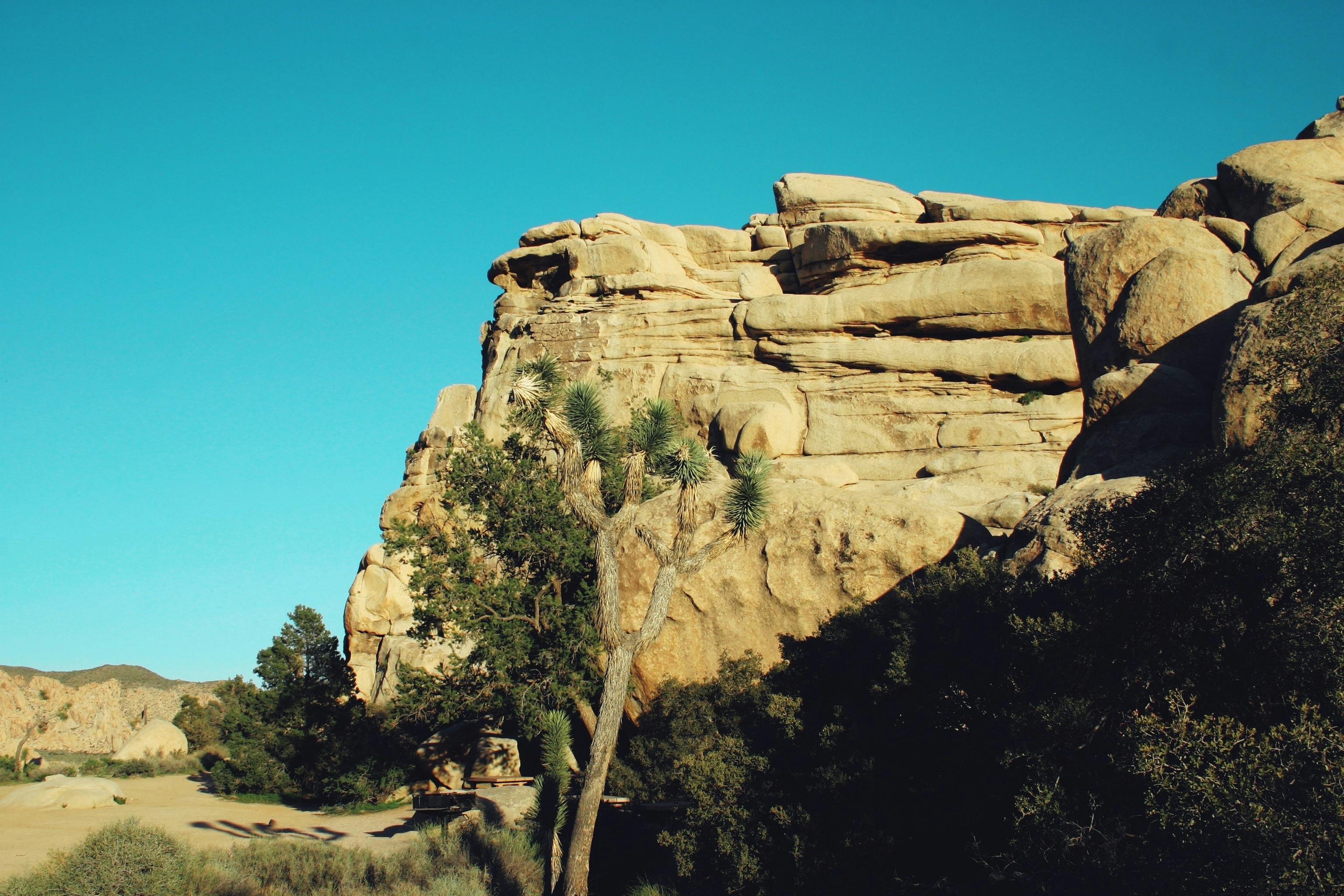 Jordan Cruise Tour Packages: Explore the Red Sea in Style