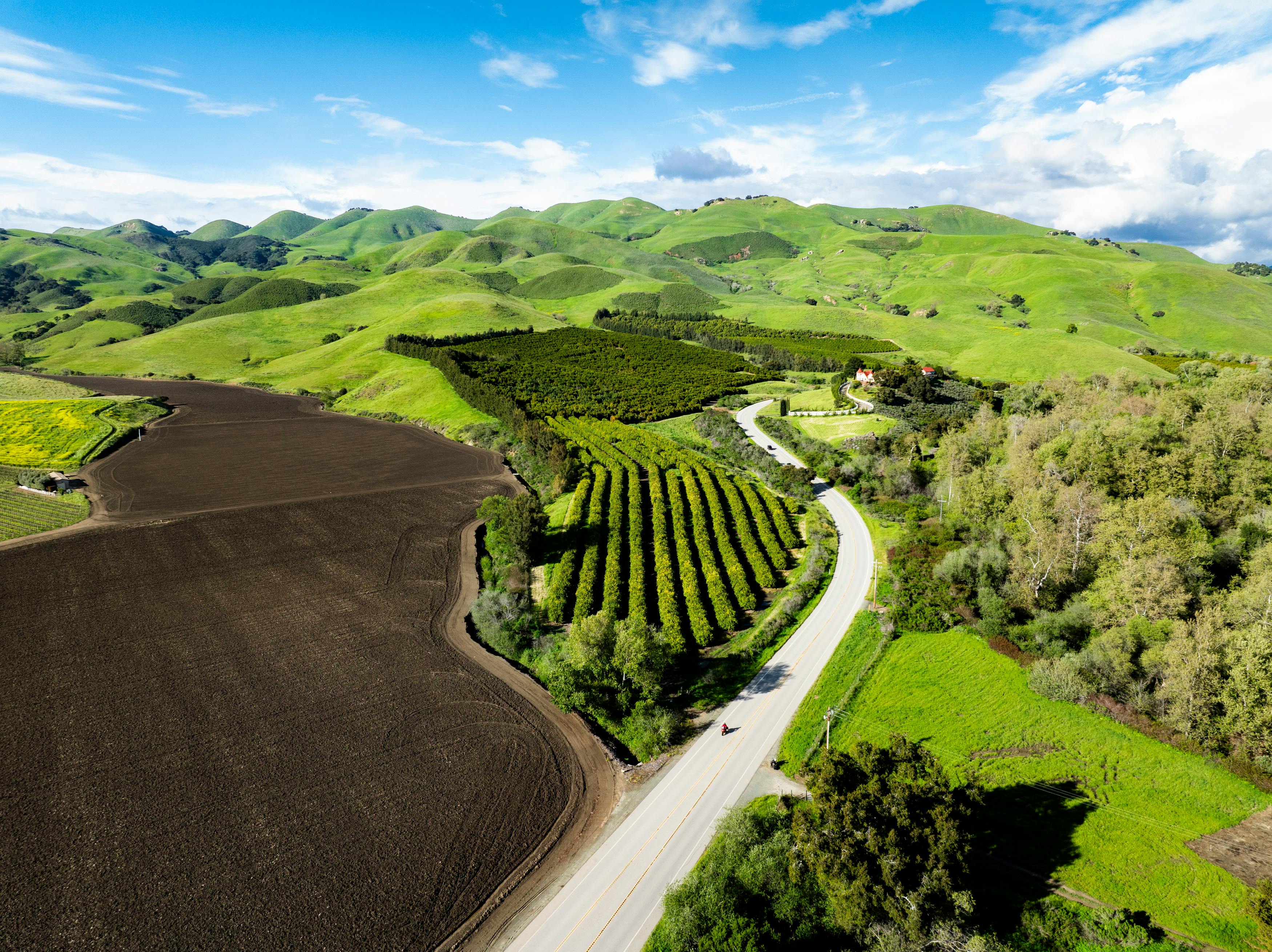 Why Silt Wine Company Ranks Among the Best California Wineries