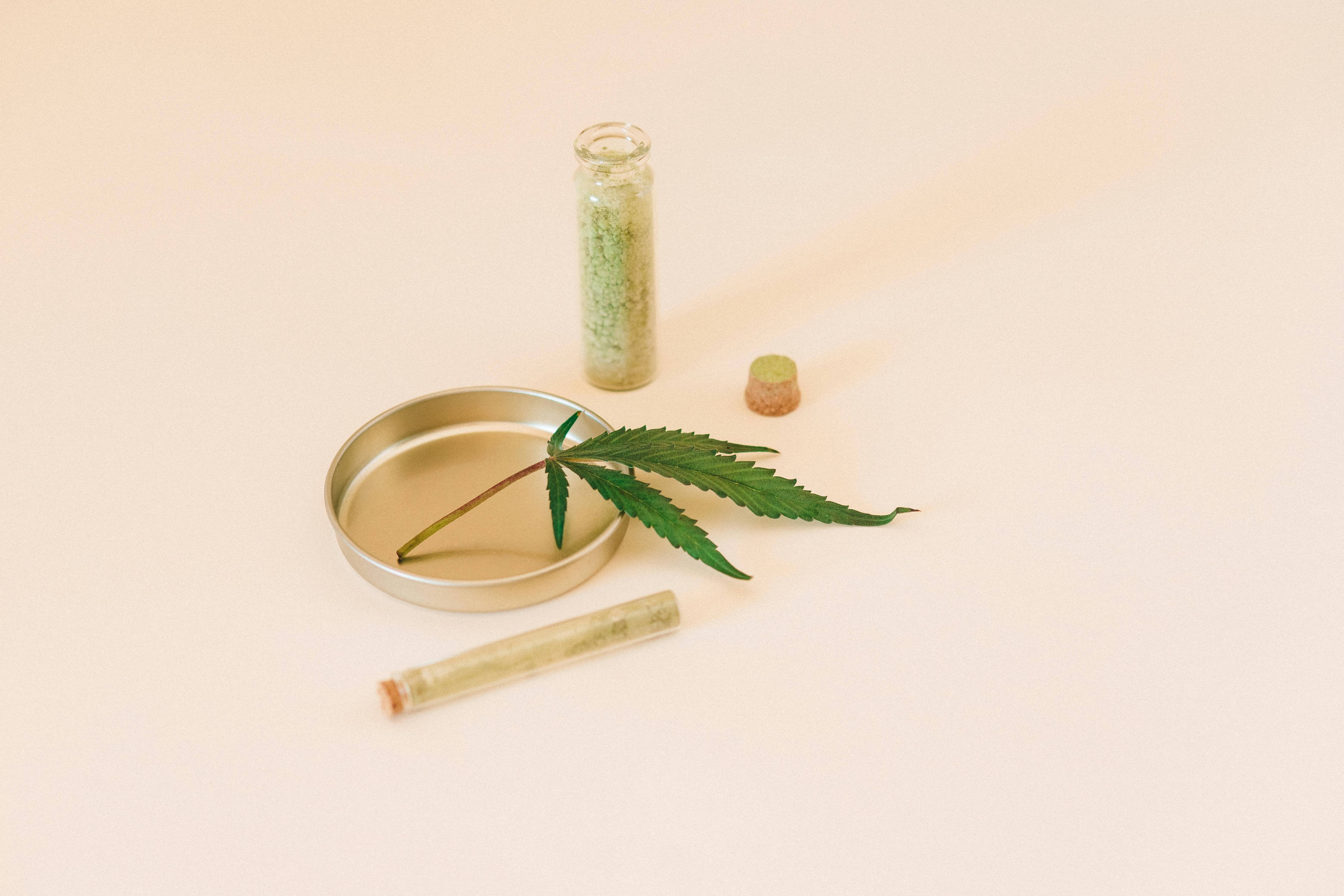 CANNABIS TRENDS: WHAT TODAY’S CONSUMERS NEED TO KNOW