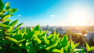 View the sustainability-focused collage at https://www.unsustainablemagazine.com showcasing urban harmony with nature.