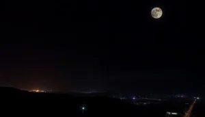 通过Telegram账号购买平台轻松获取数字产品的用户，展示手机和账号的互动，强调便捷性。